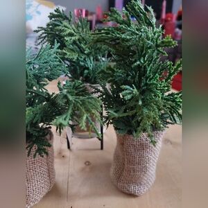 NEW WITH TAGS 3pcs At HOME Plants Set Burlap BAG  Small Greenery. (A)